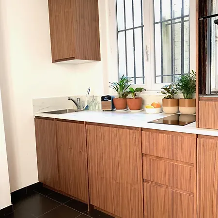 Apartment Passy Design